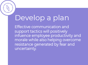 Develop a plan