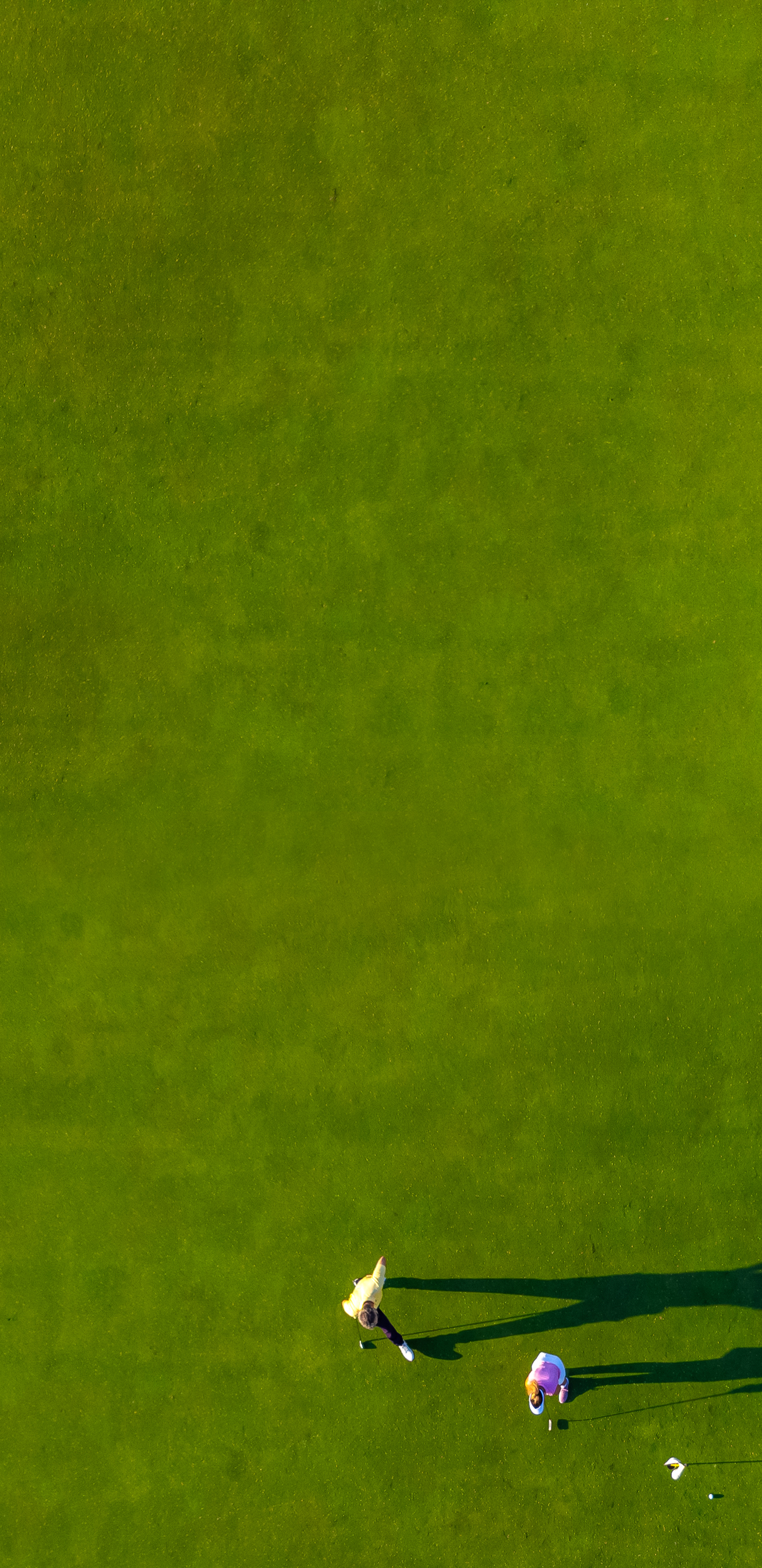 golf course from overhead