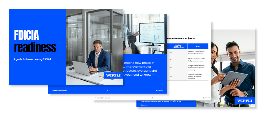 500M Banks Audit Guide Ebook Additional Assets_1000x440