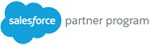 Salesforce partner