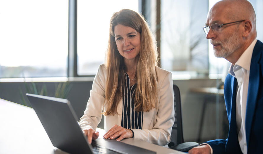 Two professionals reviewing data on a laptop during a business consulting meeting in a modern office.