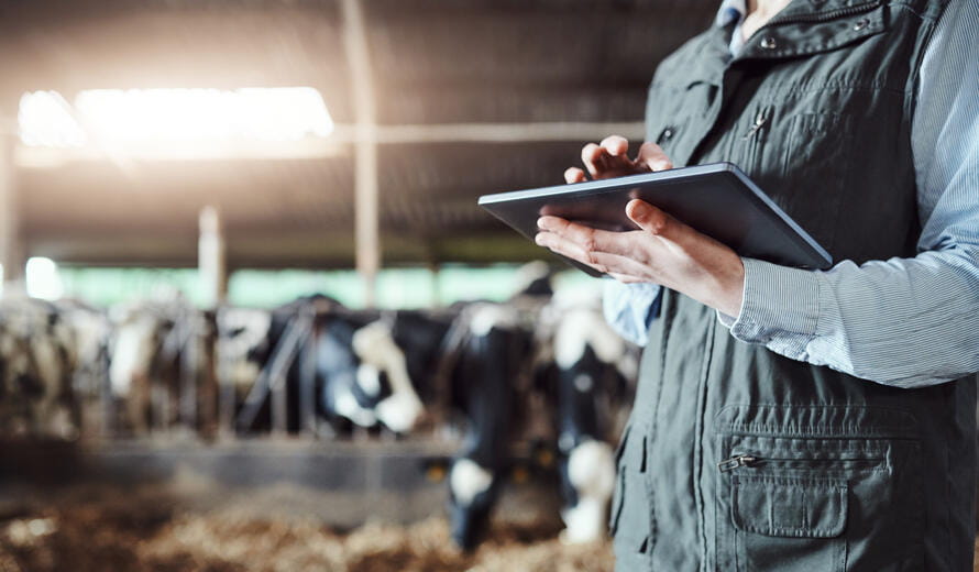 Cropped shot of a woman using a digital tablet while working at a cow farm