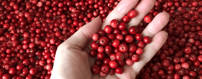 Cranberries